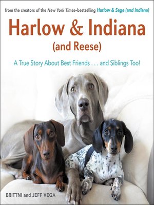 cover image of Harlow & Indiana (and Reese)